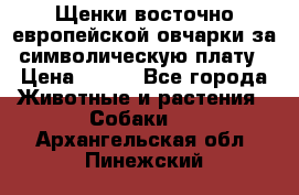 Щенки восточно европейской овчарки за символическую плату › Цена ­ 250 - Все города Животные и растения » Собаки   . Архангельская обл.,Пинежский 